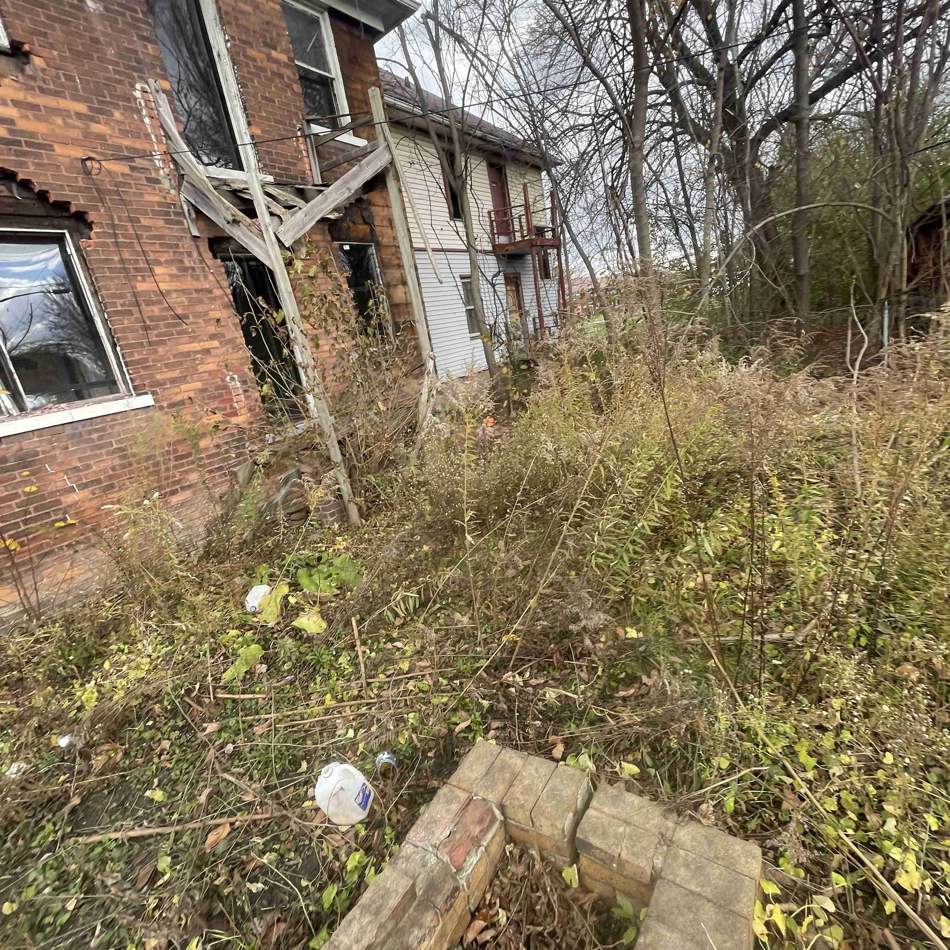 4039 Tuxedo (18).jpg